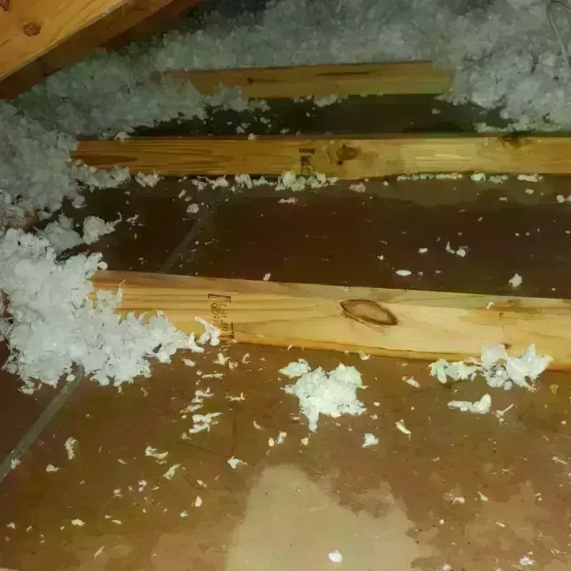 Attic Water Damage in Wahiawa, HI